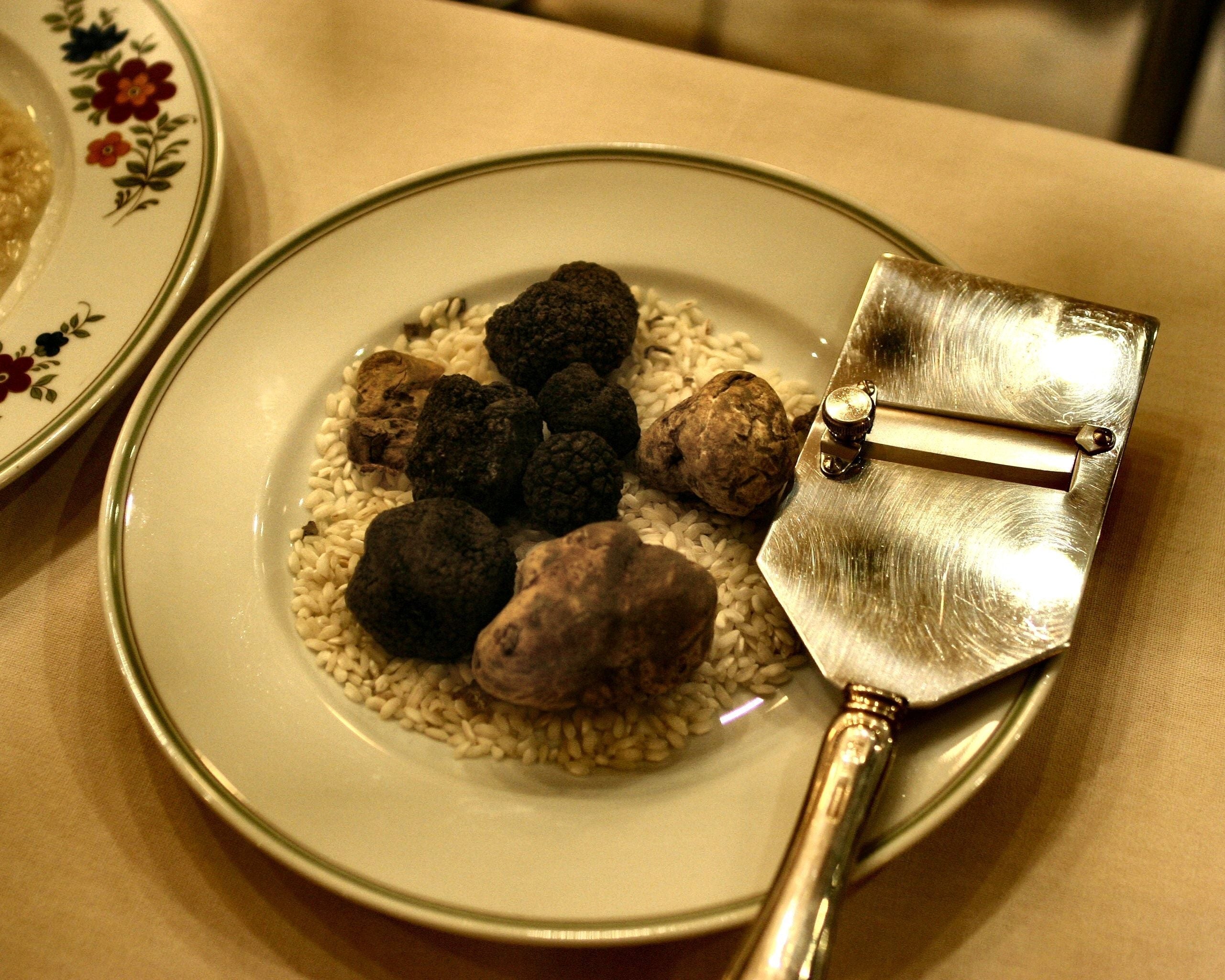Trüffel: Art, Geschmack und Saison